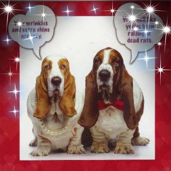 Meet your Posher, Janet - Picture 1 of 1